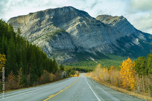 Rural road in the forest with Mount Stelfox in the background. Alberta Highway 11 (David Thompson Hwy), Jasper National Park, Canada.