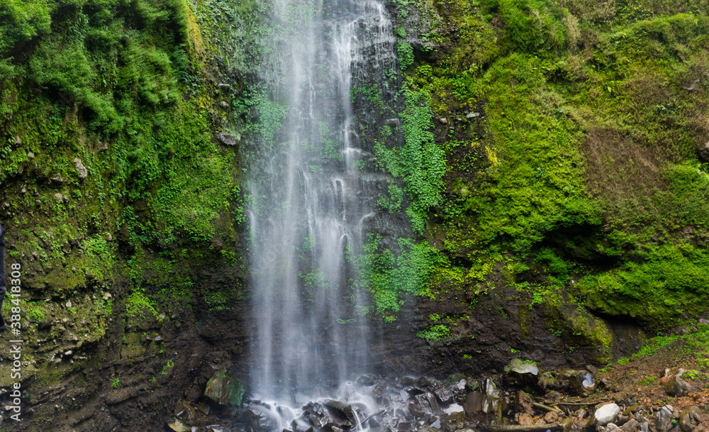Obraz premium waterfall in the forest