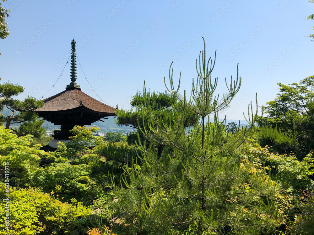 Japanese Temple