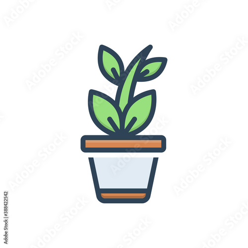 Color illustration icon for plant