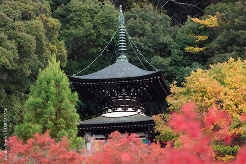 永観堂多宝塔と紅葉