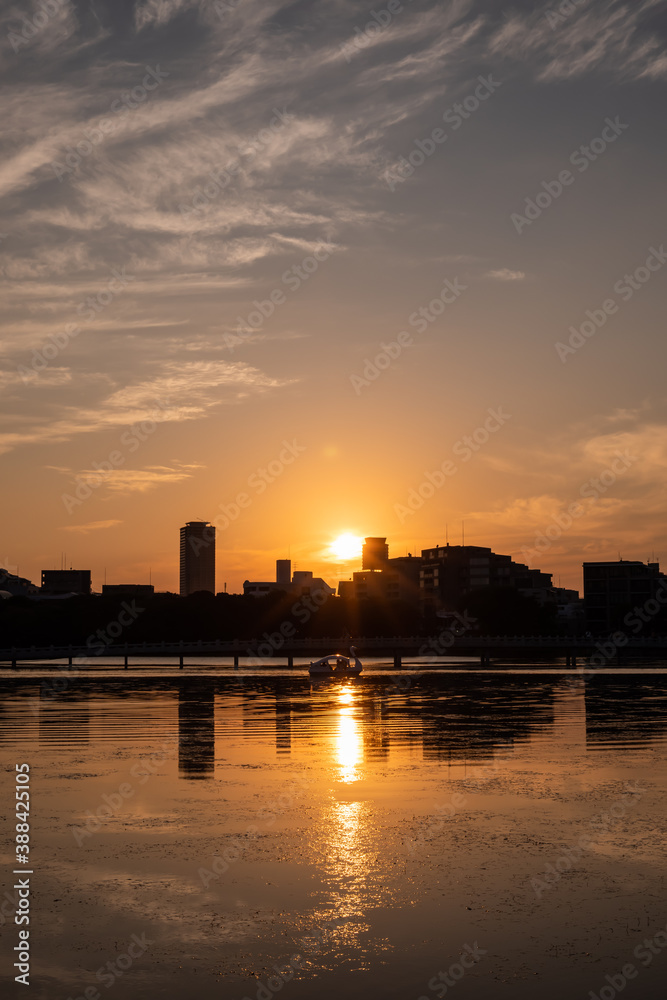 Fototapeta premium 大濠公園夕景