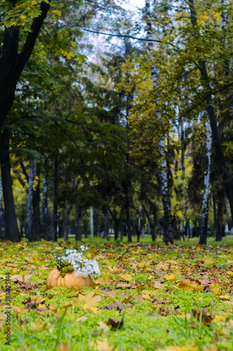 Autumn landscape in the city park. A pumpkin and old leaves on the ground.
