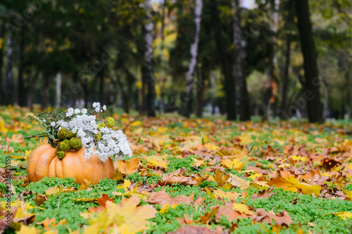 Autumn landscape in the city park. A pumpkin and old leaves on the ground.