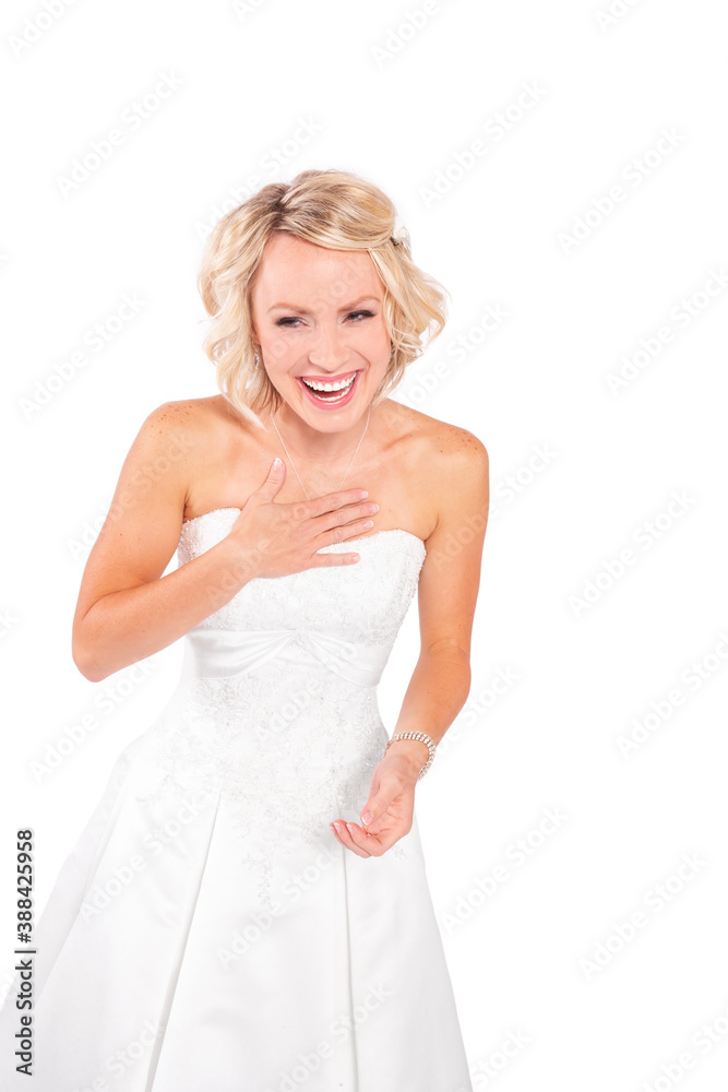 A beautiful blonde young bride isolated on white background. A beautiful blonde young bride isolated on white background.