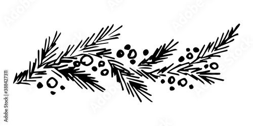 Hand-drawn simple black and white vector sketch. Pine, spruce branch, berries. For festive New Year, Christmas design, postcards, labels.