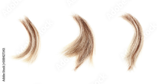 Fényképezés Blond wavy lock of hair set on white background isolated closeup, cut off natura