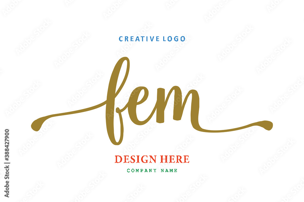 FEM lettering logo is simple, easy to understand and authoritative FEM lettering logo is simple, easy to understand and authoritative