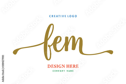 FEM lettering logo is simple, easy to understand and authoritative