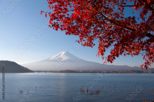 河口湖の紅葉と富士山 © Paylessimages