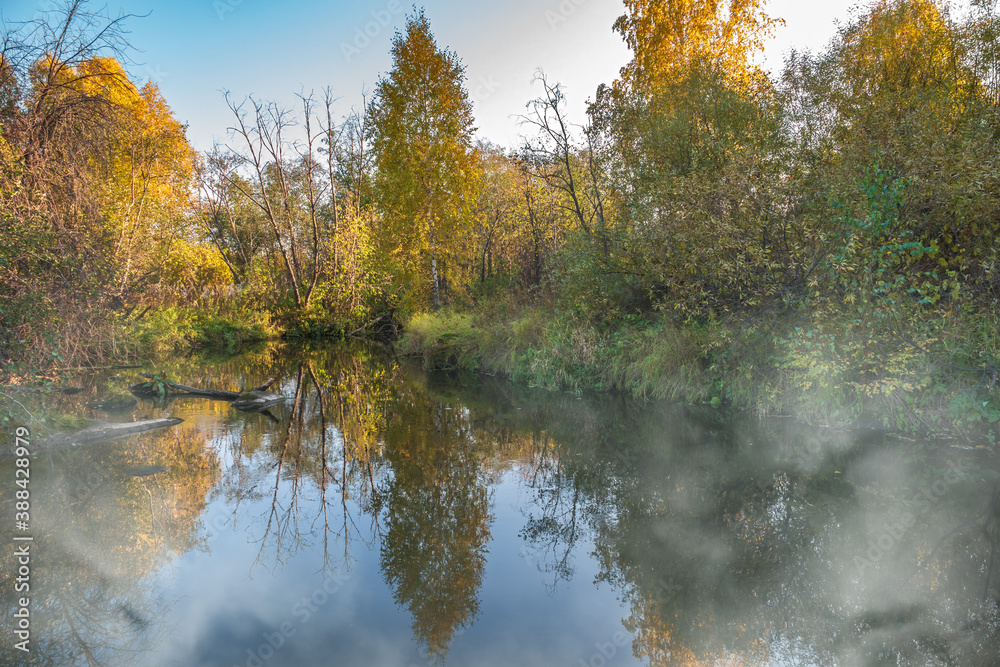 Autumn forest is reflected in the water of river with fog on the water