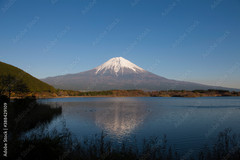 秋の田貫湖