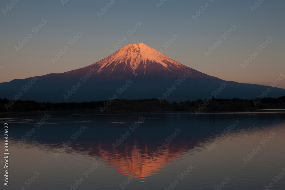 秋の田貫湖に写る夕景の富士山
