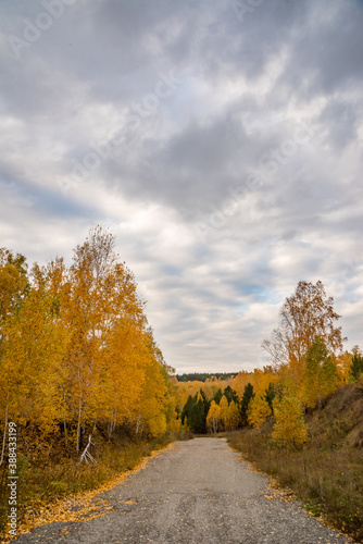 Autumn. Autumn forest. Yellow leaves. Autumn sky. Russia.