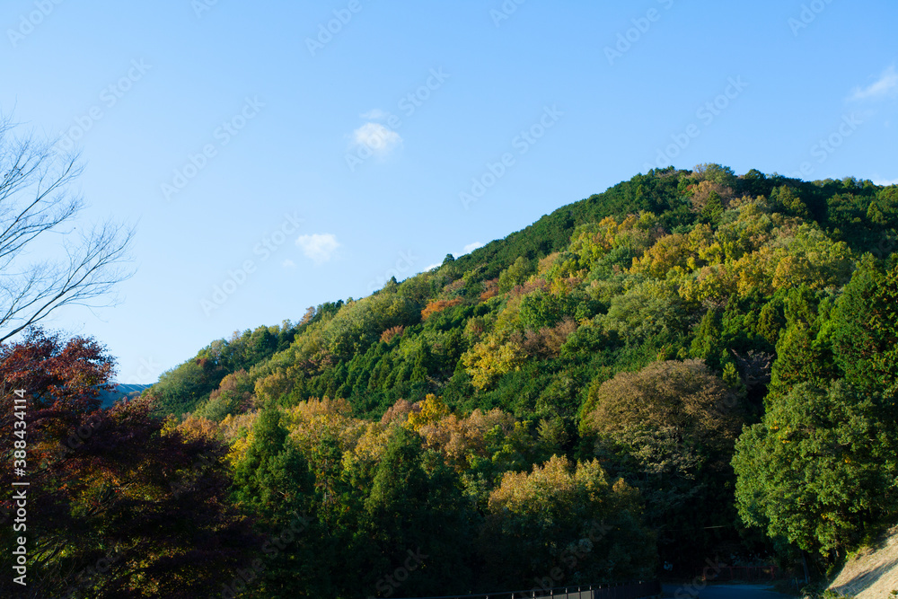 山と青空 山と青空
