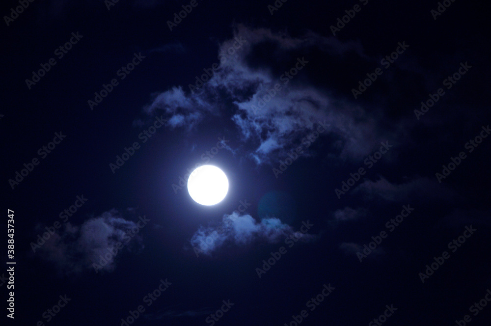 Obraz premium 雲間の月
