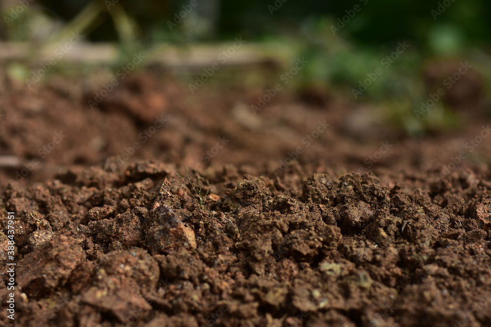 Clean soil for cultivation. The potting soil or peat is suitable for gardening and is one of the four natural elements. The land is life for our planet earth. Selective Focus. Clean soil for cultivation. The potting soil or peat is suitable for gardening and is one of the four natural elements. The land is life for our planet earth. Selective Focus.