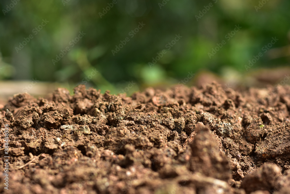 Clean soil for cultivation. The potting soil or peat is suitable for gardening and is one of the four natural elements. The land is life for our planet earth. Selective Focus. Clean soil for cultivation. The potting soil or peat is suitable for gardening and is one of the four natural elements. The land is life for our planet earth. Selective Focus.