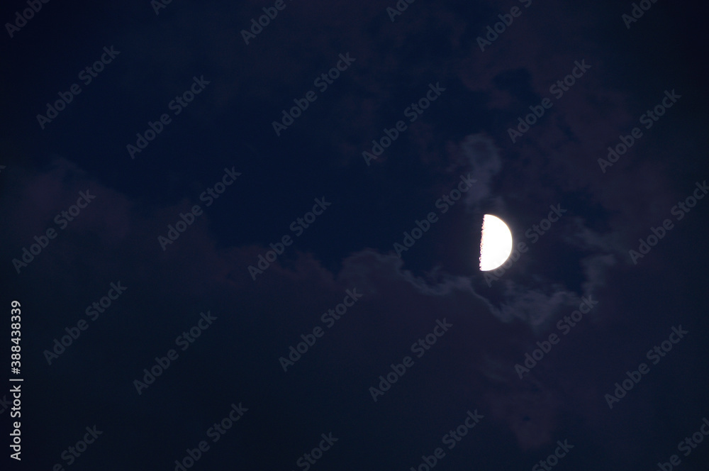 Obraz premium 雲間の月