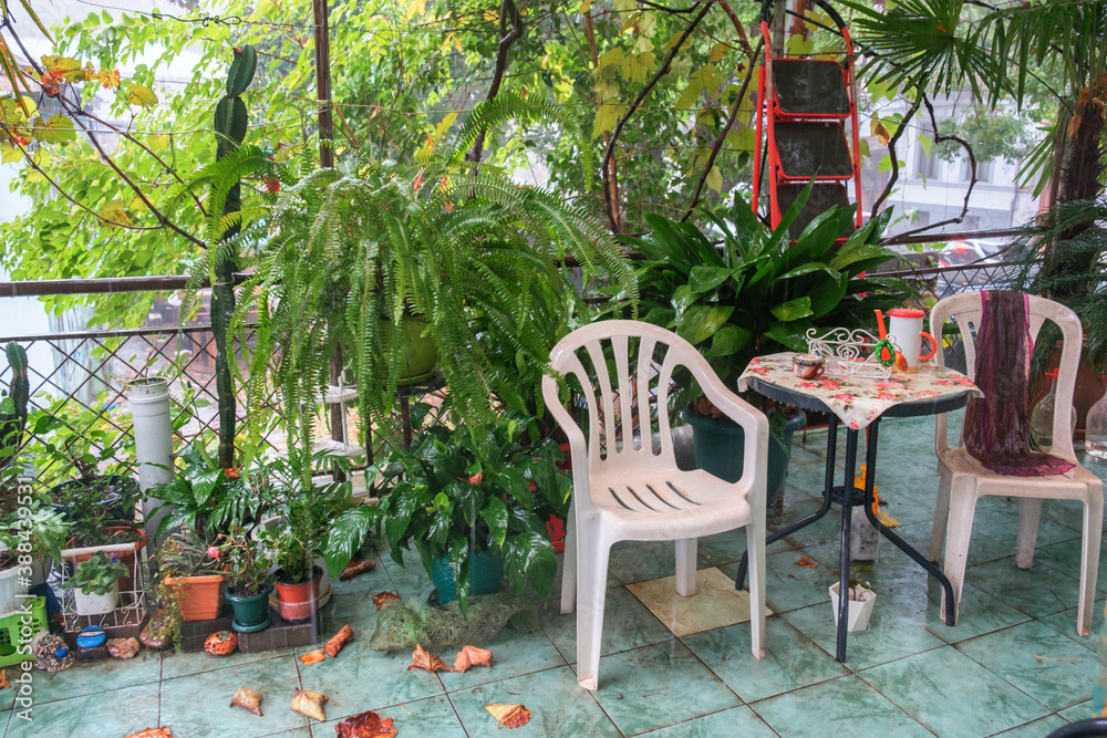 A little garden at balcony at rainy autumn day