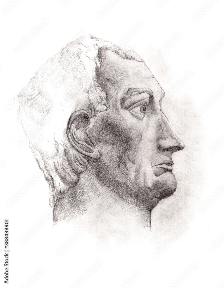 Fine art. Head of the Gaius Julius Caesar. Face. Academic Professional Drawing. Original Artwork. Graphite on Paper. Wall art. Greek mythology and history. Ancient world culture.