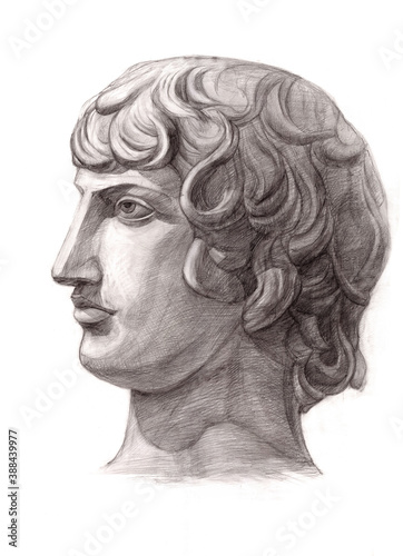 Fine art. Head of the David. Face. Academic Professional Drawing. Original Artwork. Graphite on Paper. Wall art. Greek mythology and history. Ancient world culture.