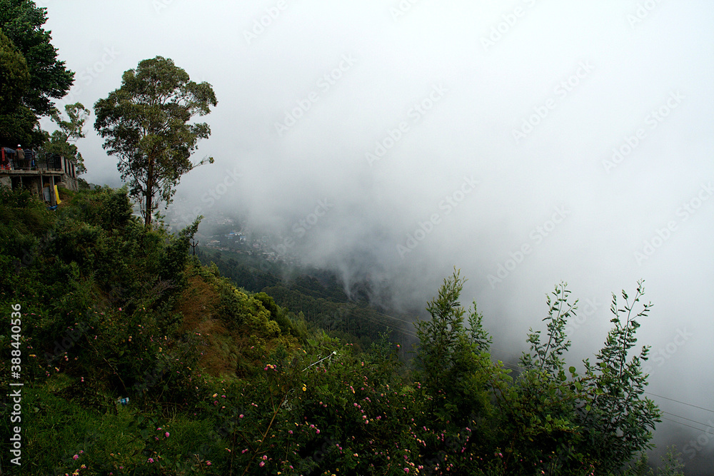 Misty Landscape at Kodaikanal
