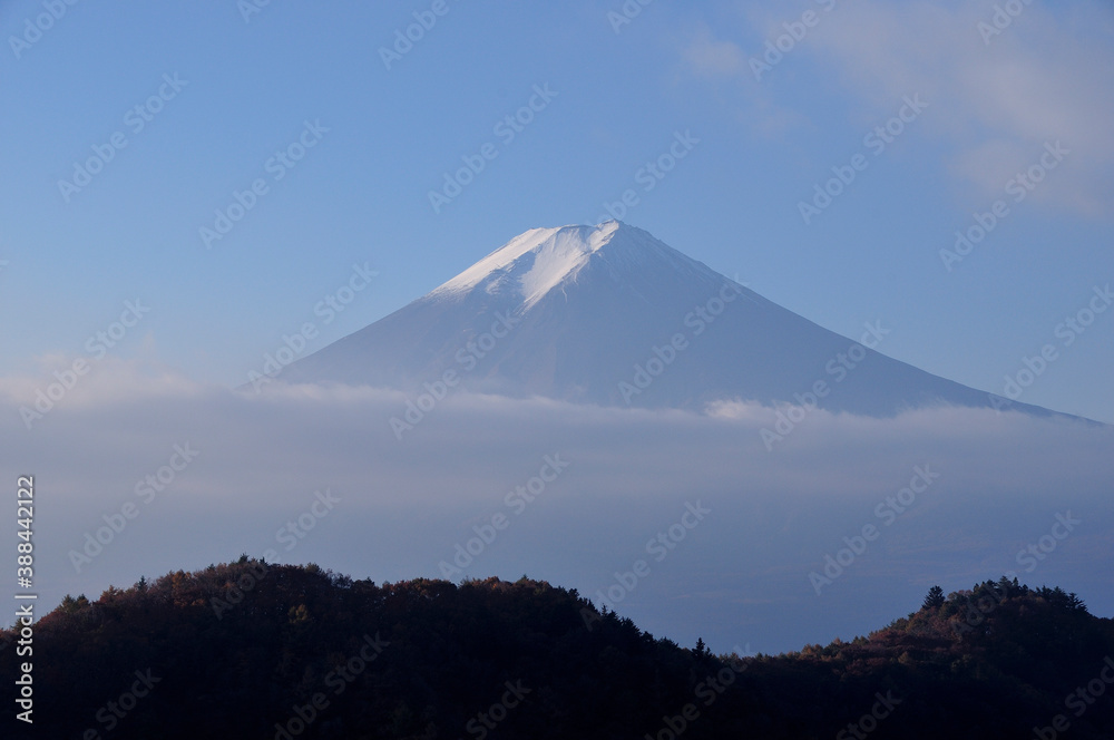 Fototapeta premium 富士山