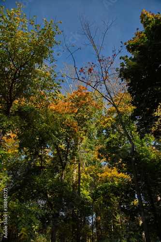 Autumn sunny day in city park, Moscow, Russia