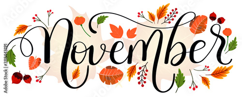 Hello NOVEMBER. November month vector hand lettering with flowers and leaves. Decoration floral. Illustration month November
