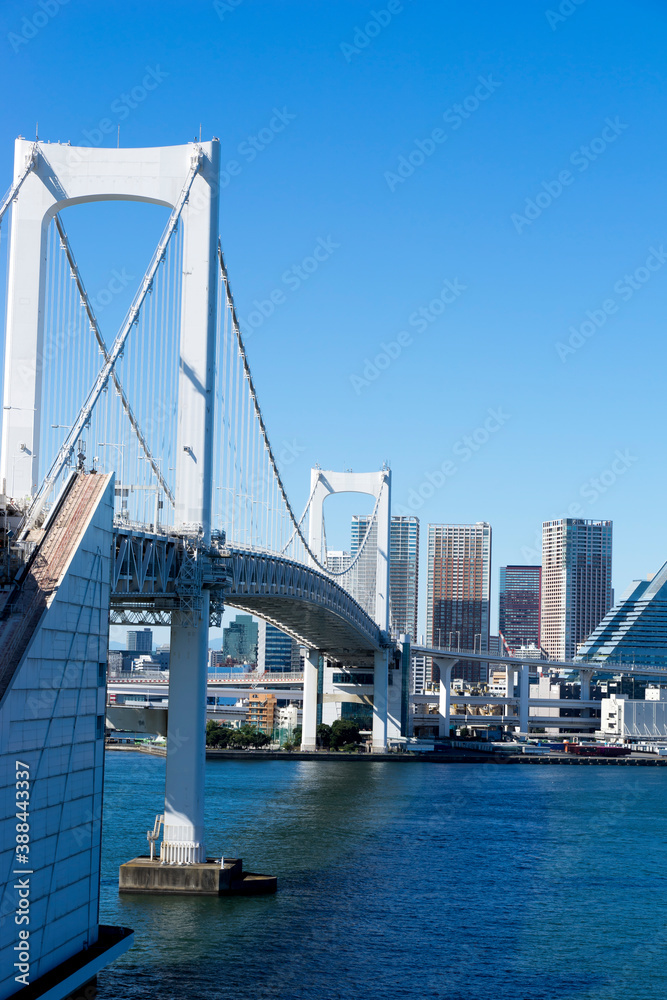 Fototapeta premium レインボーブリッジの風景