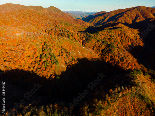 Shirakami Mountains. photo