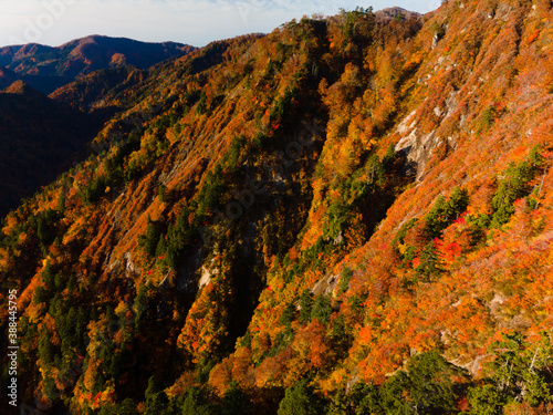 Shirakami Mountains.