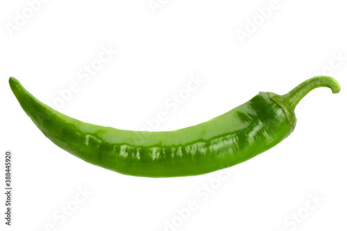Green chili pepper photo