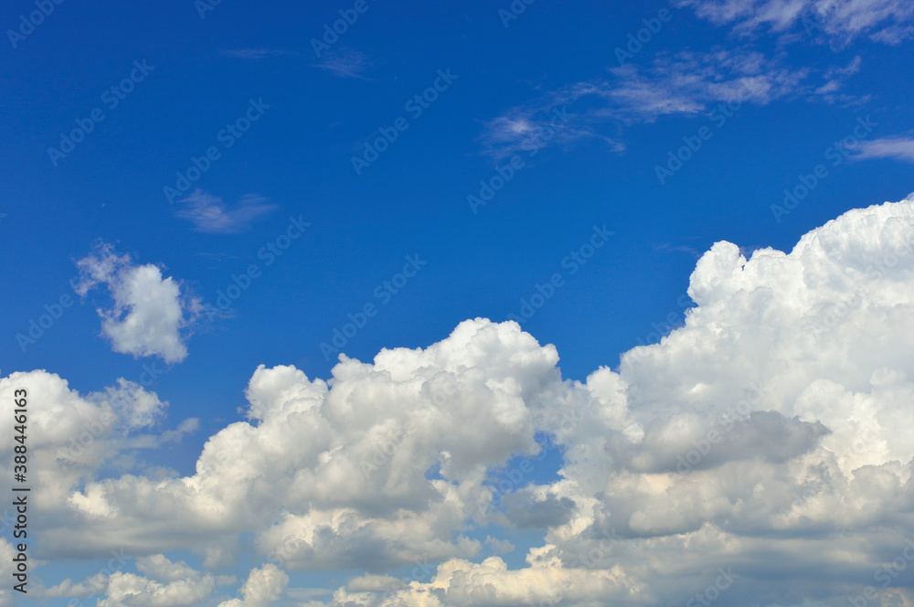 Fototapeta premium 青空と入道雲