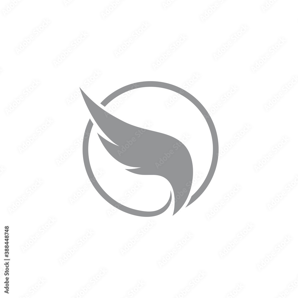 Wing illustration Wing illustration