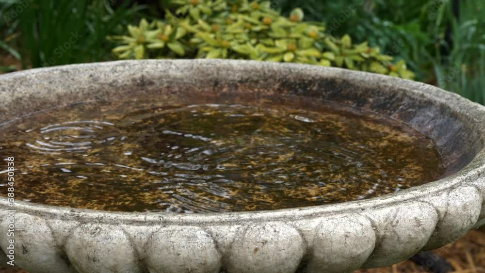 Slow motion of rain drops falling into round contrete bird bath during rainy day causing lots of ripples and splashes to occur in home garden Slow motion of rain drops falling into round contrete bird bath during rainy day causing lots of ripples and splashes to occur in home garden