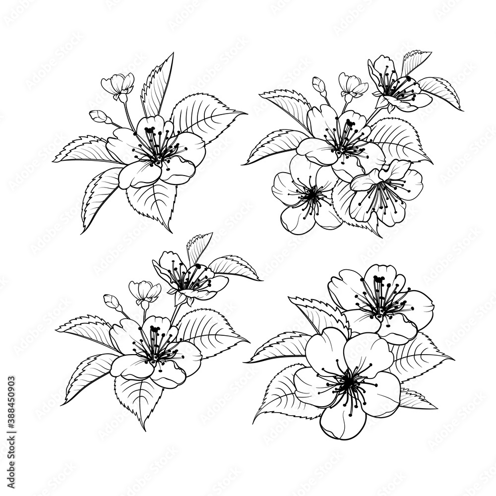 Hand drawn design elements sakura flowers collection. Hand drawn design elements sakura flowers collection.