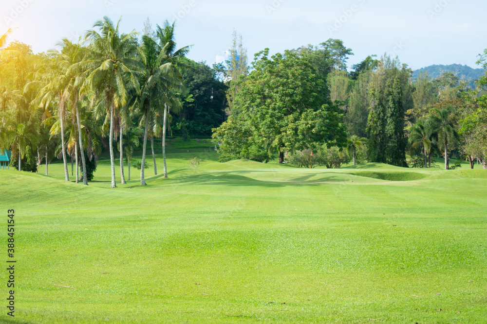 Beautiful green lawn or golf course.