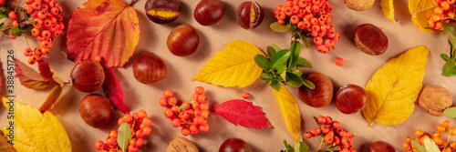 Autumn panorama with vibrant autumn leaves, chestnuts, and berries, an atmospheric fall flat lay on a brown background