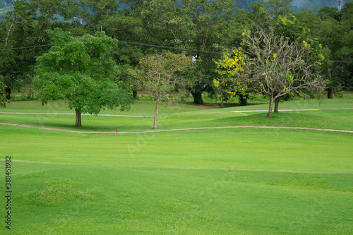 Beautiful green lawn or golf course.