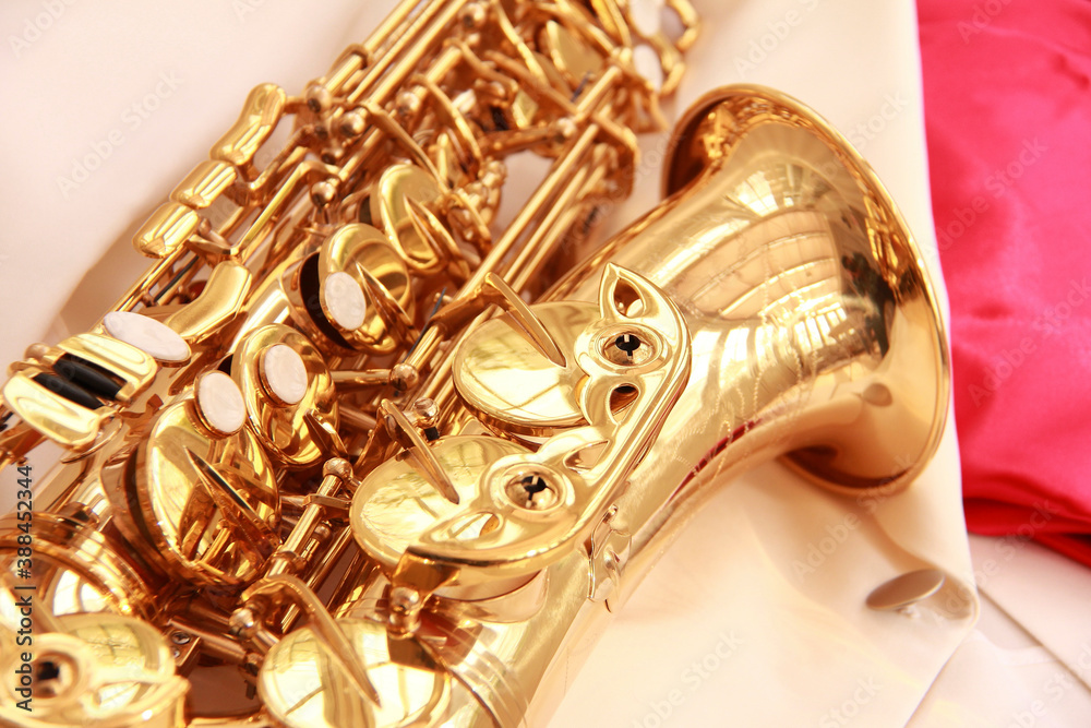 Naklejka premium サックス