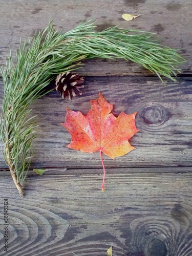 autumn leaves on wooden background