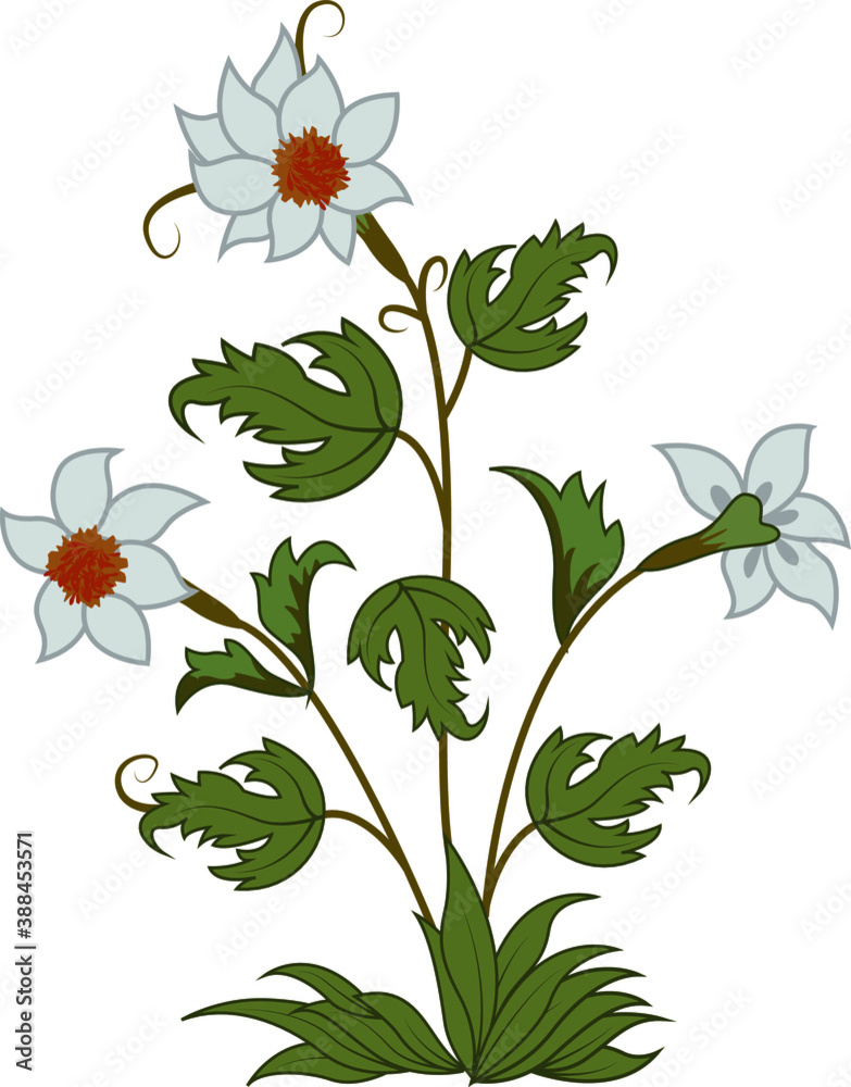 White flowers and leaves