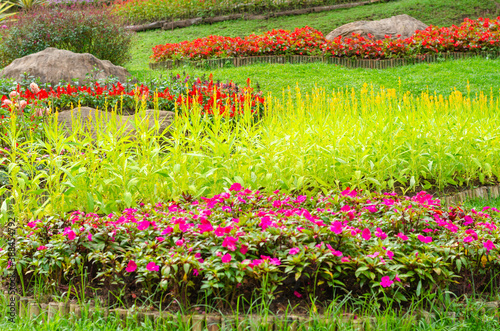 beautiful design of blooming flower bed garden