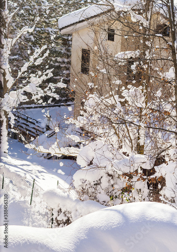 Winter tree branches covered with snow. Seasonal holidays mood