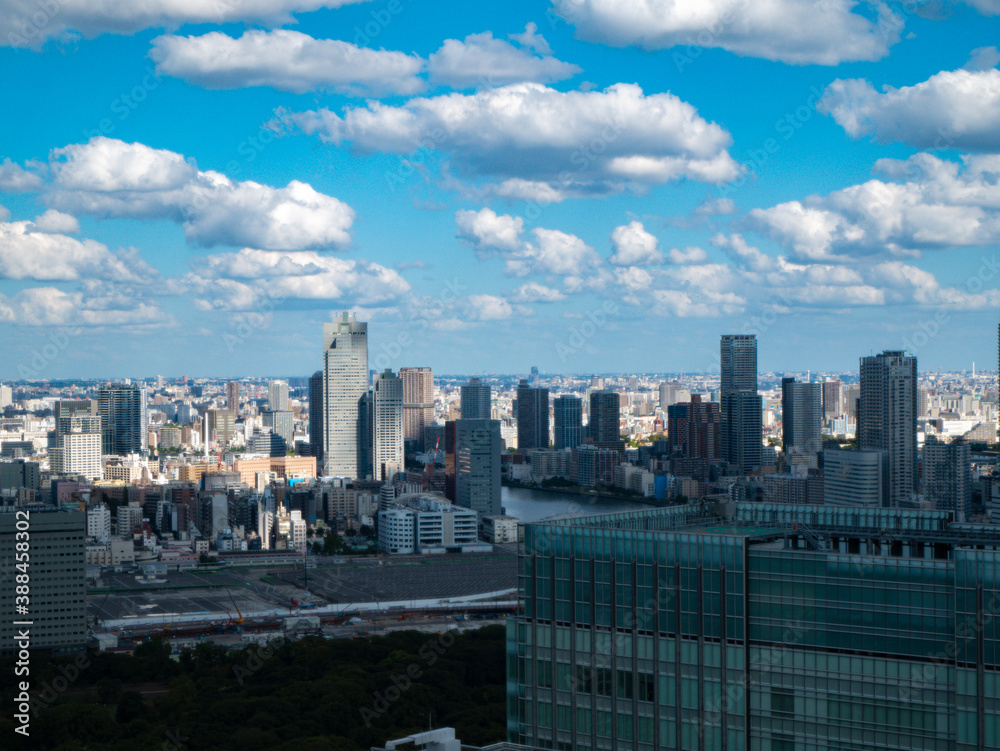 Fototapeta premium 都内景観・眺望
