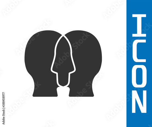 Grey Bipolar disorder icon isolated on white background. Vector.
