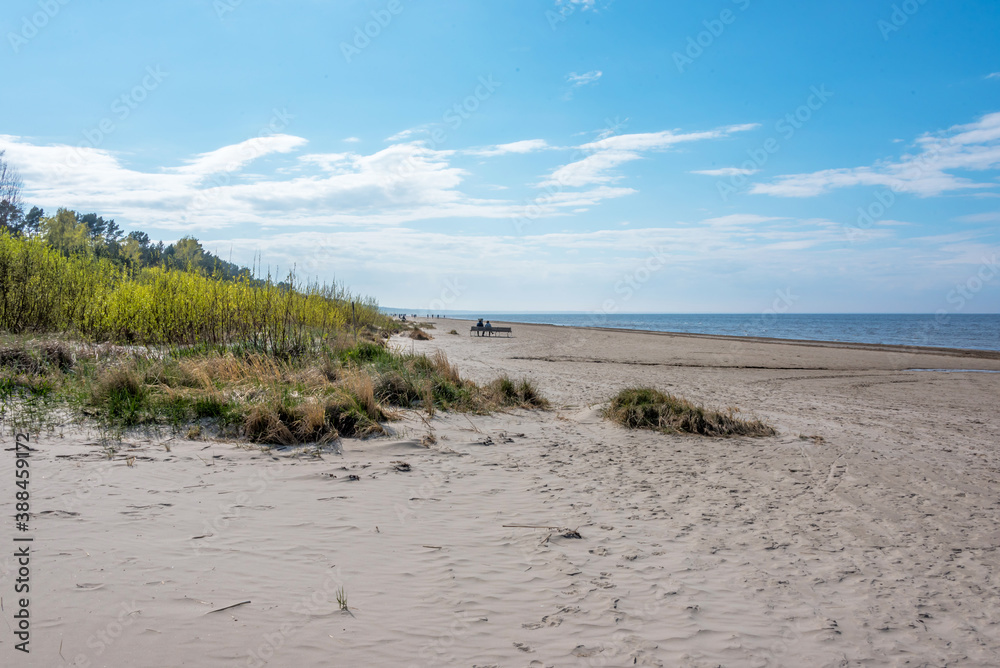 Baltic Sea Beach on a Sunny Day Baltic Sea Beach on a Sunny Day