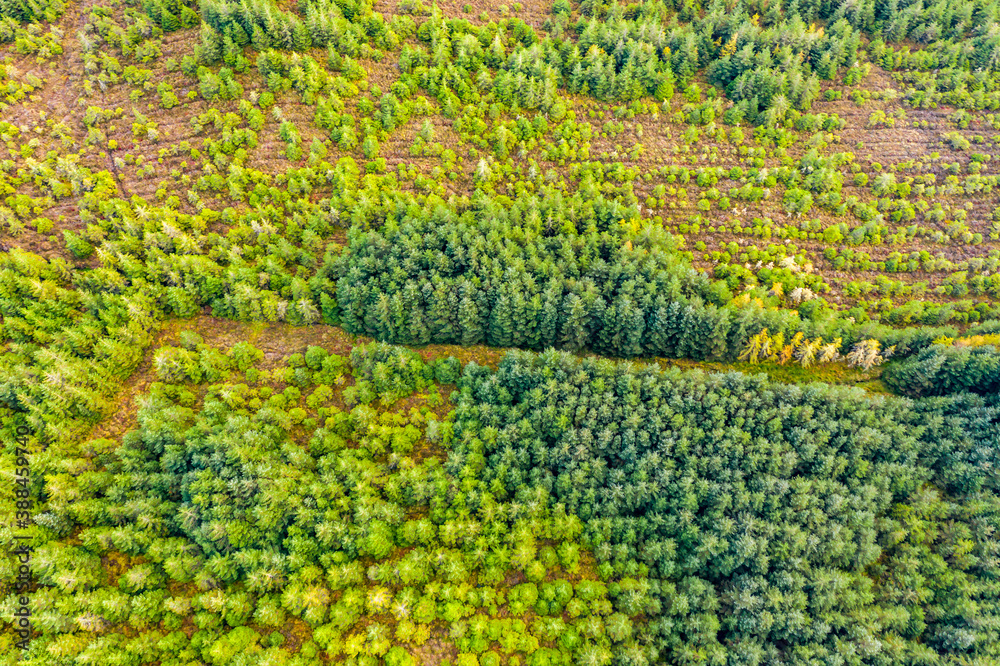 Amazing aerial of forest in County Donegal - Ireland Amazing aerial of forest in County Donegal - Ireland